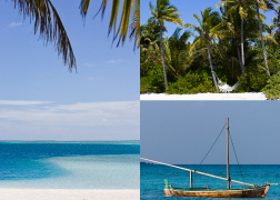 Tropical Islands Images