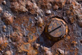 Rusty Bolt Head
