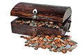Treasure Chest of Coins